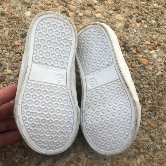 Fox slides - Picture 5 of 5